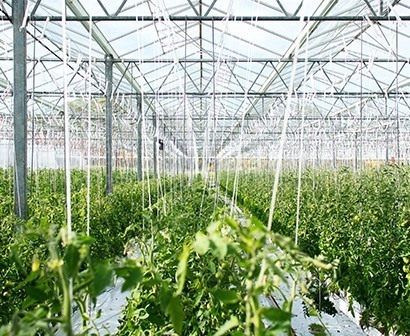 Greenhouse Solutions